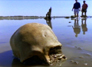 Mystery of the First Americans