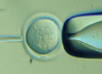 Stem Cells Update