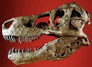 Curse of T. Rex